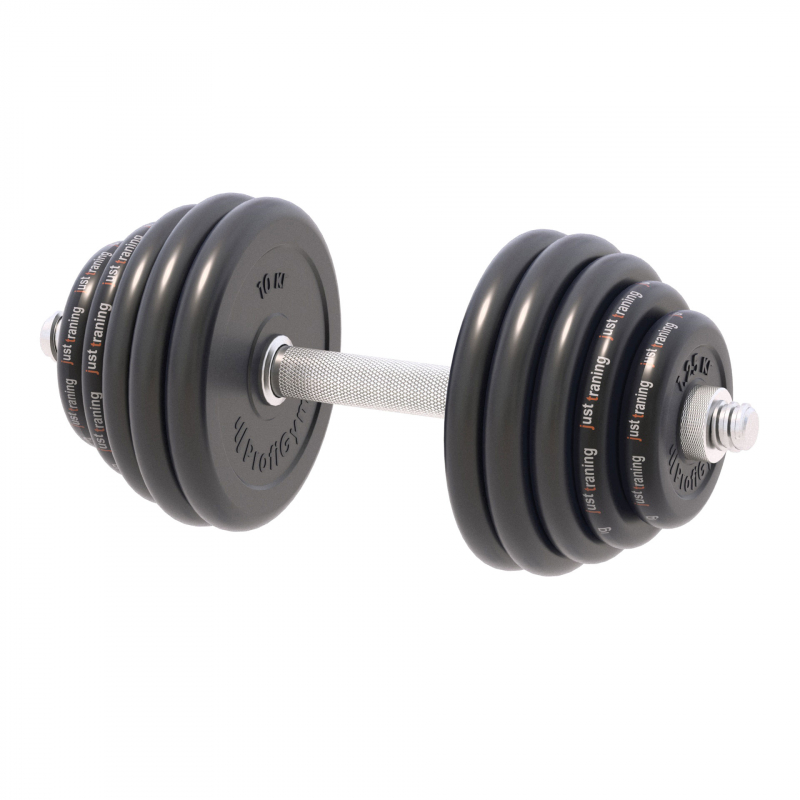 Гантель разборная Profigym 60 кг Ø 31 мм